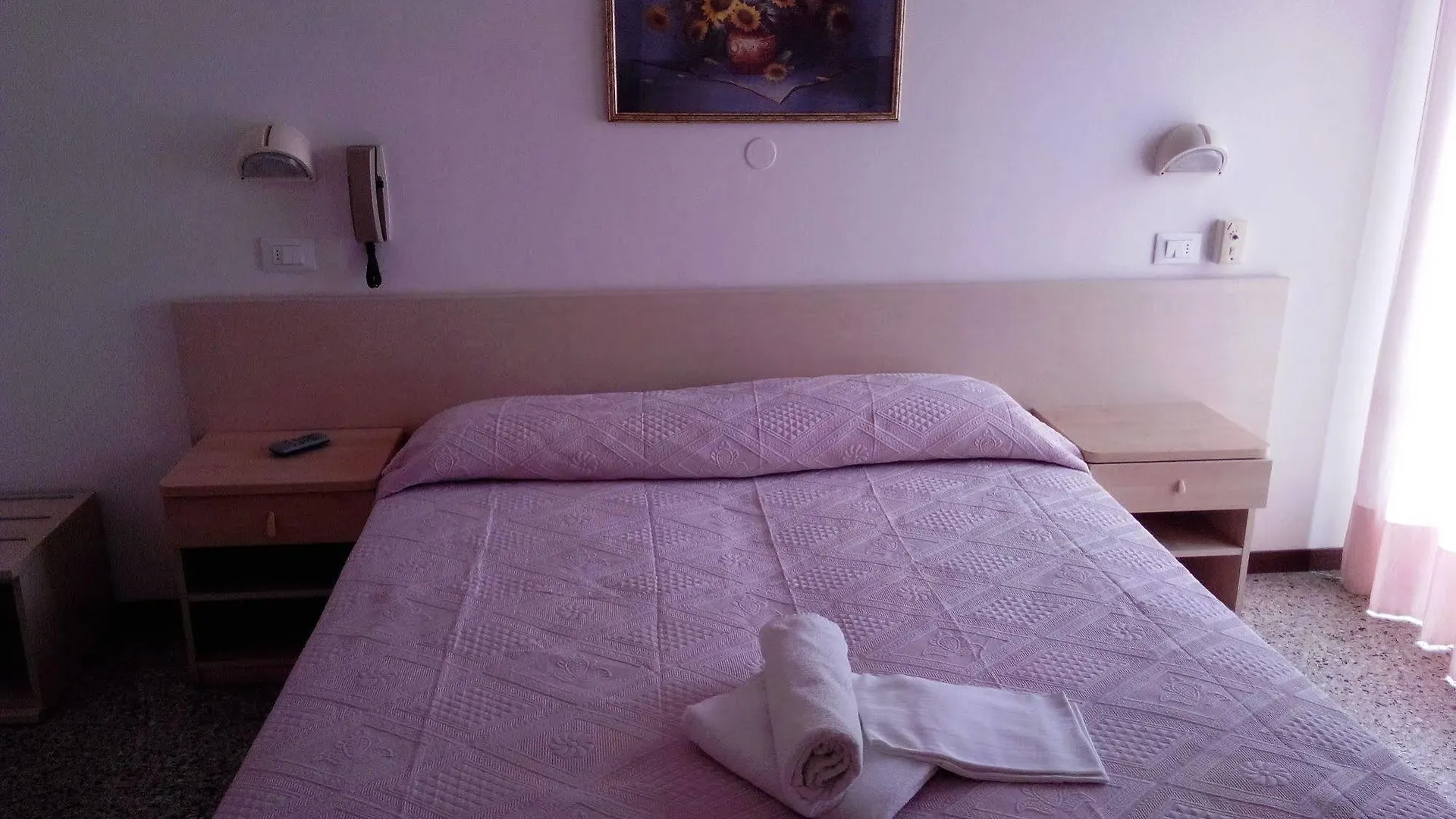 Hotel Nives 리미니